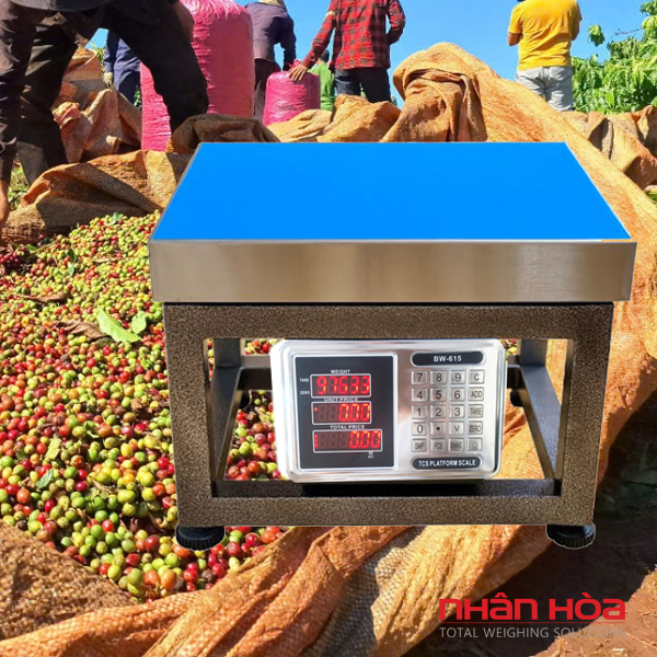  Cân điện tử Gia Lai
