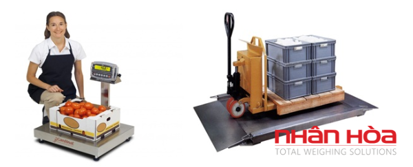 Cân điện tử Hà Nam