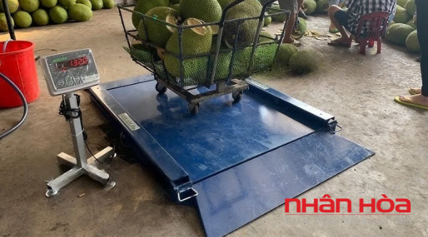 Cân điện tử Hà Nam