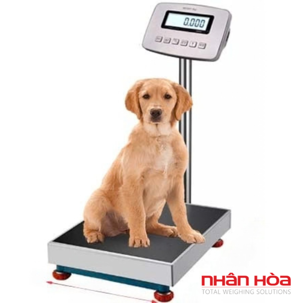 Cân điện tử Hà Nam