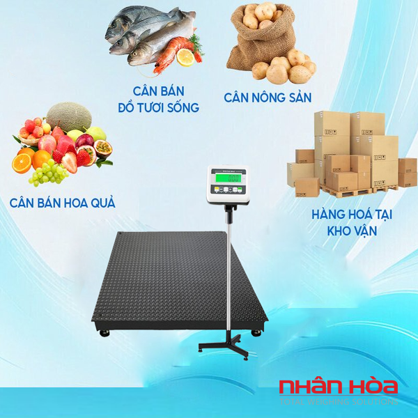 Cân điện tử Hải Dương