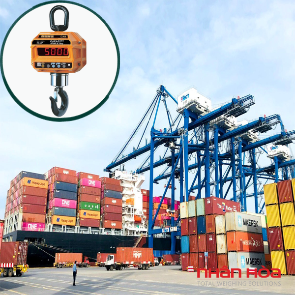 Cân điện tử Hải Phòng