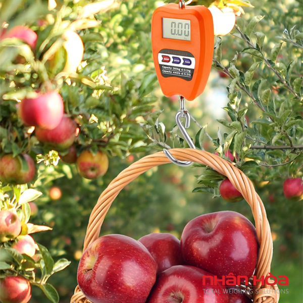 Cân điện tử Hậu Giang