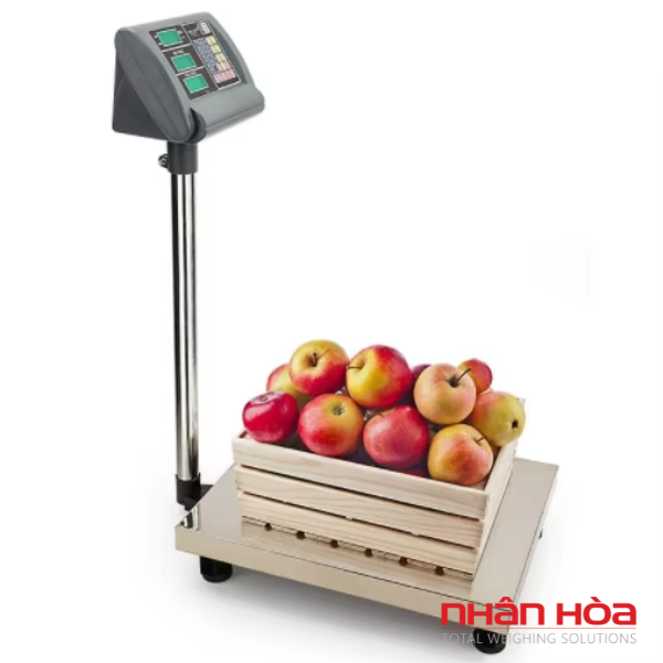 Cân điện tử Nam Định