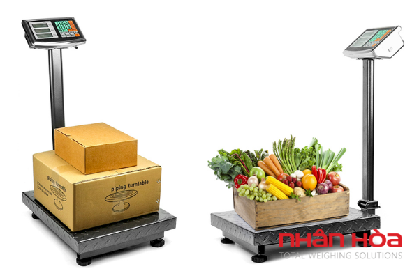 Cân điện tử Nam Định