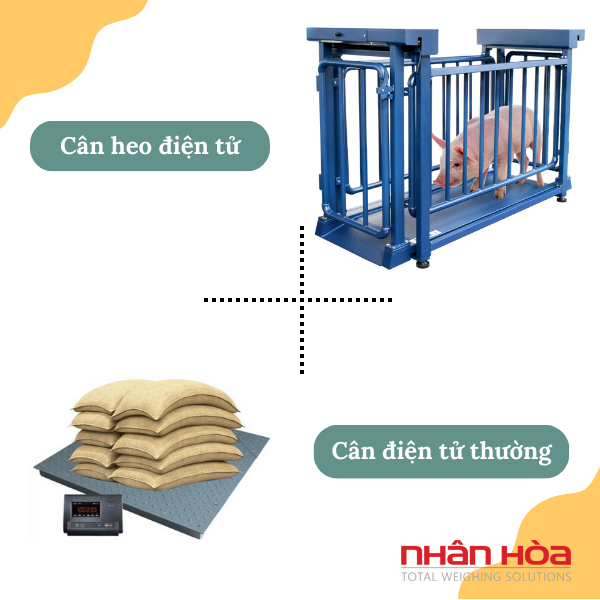 Cân điện tử Nghệ An