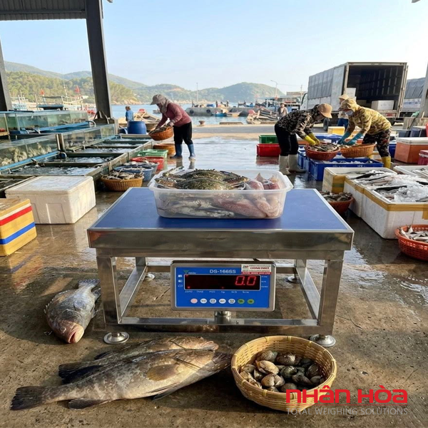 Cân điện tử Nghệ An