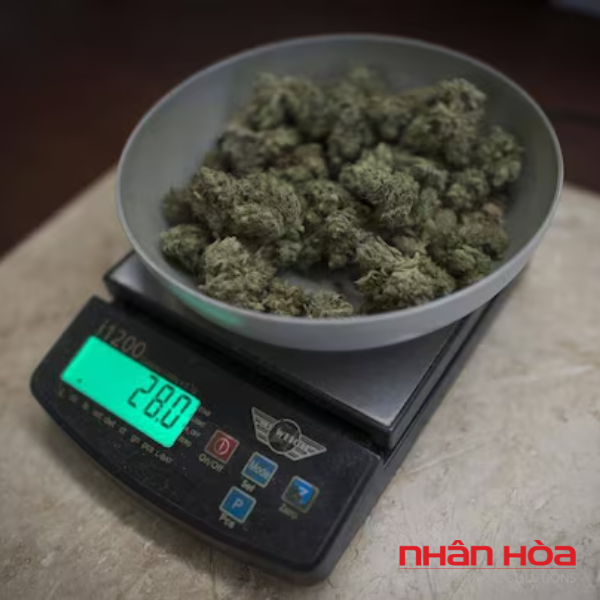 Cân điện tử Quận 5