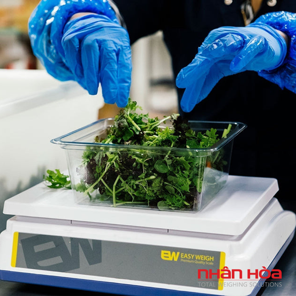 Cân điện tử Quận 6