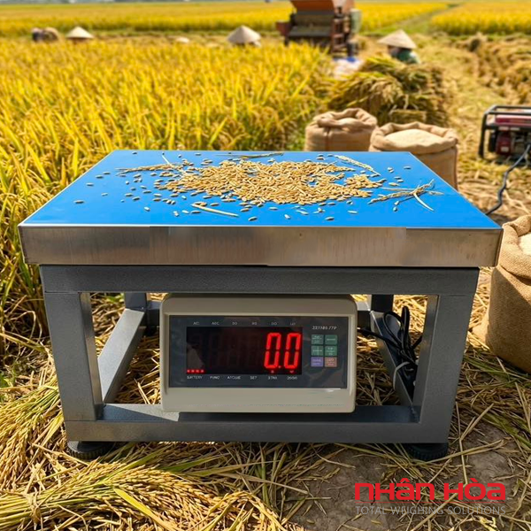 Cân điện tử quận Tân Bình