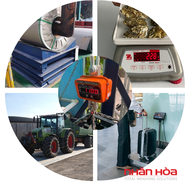 Cân điện tử Quảng Bình