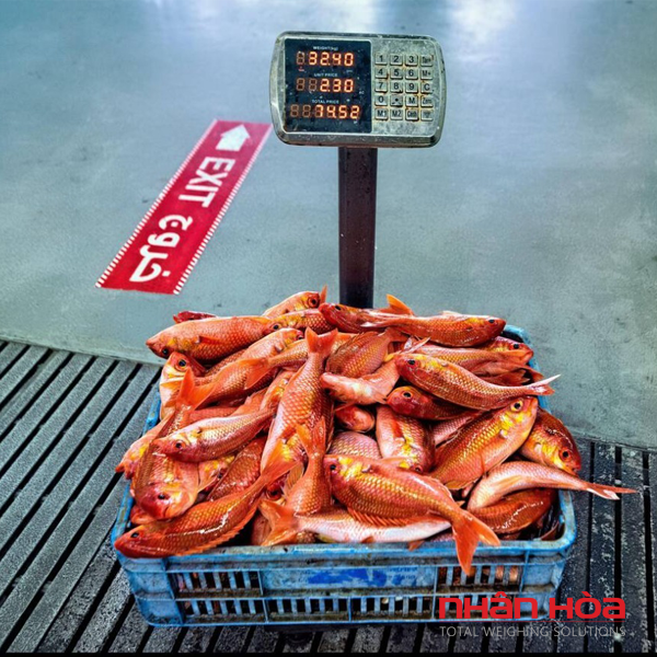 Cân điện tử Quảng Bình