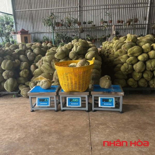 Cân điện tử Quảng Ngãi