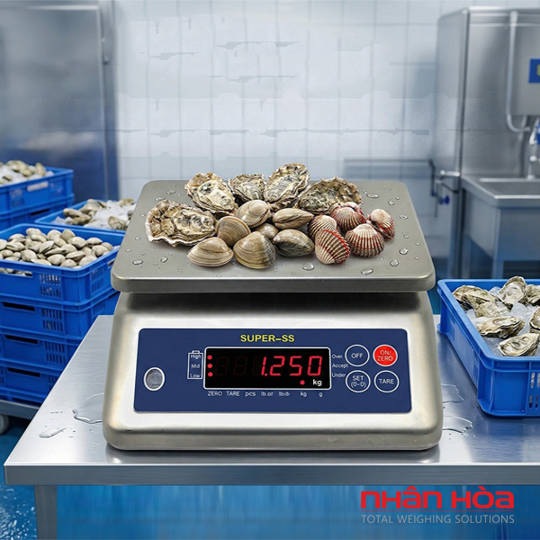 Cân điện tử Rạch Giá