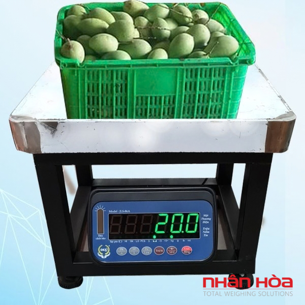 Cân điện tử Tây Ninh