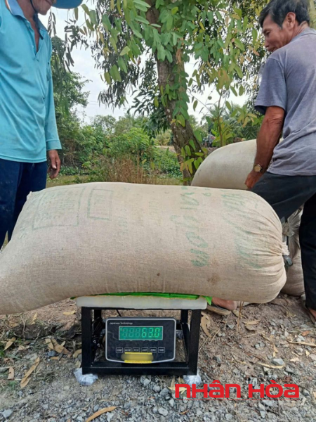 Cân điện tử Tây Ninh