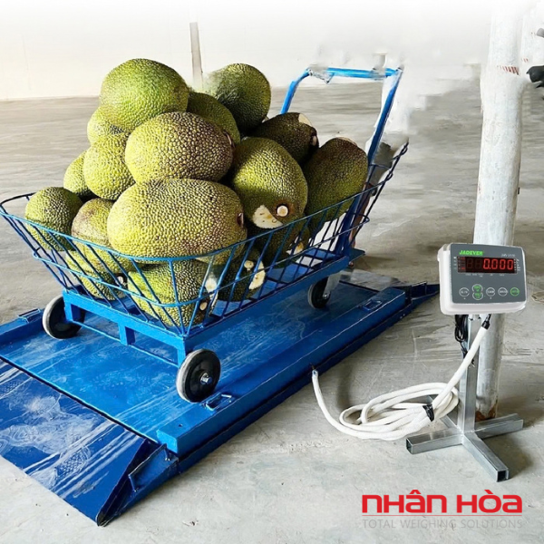 Cân điện tử Tây Ninh