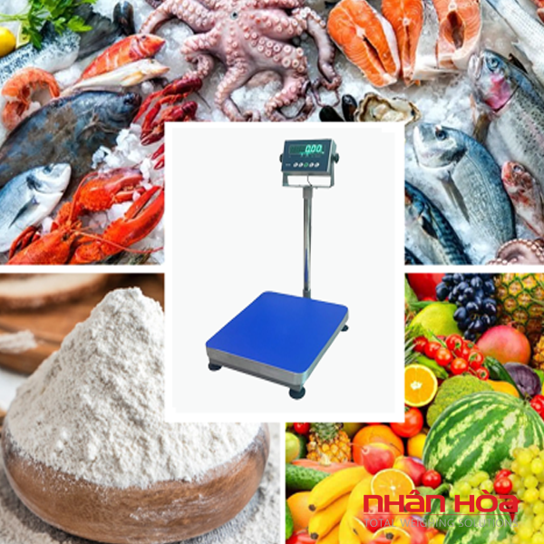 Cân điện tử Thanh Hoá