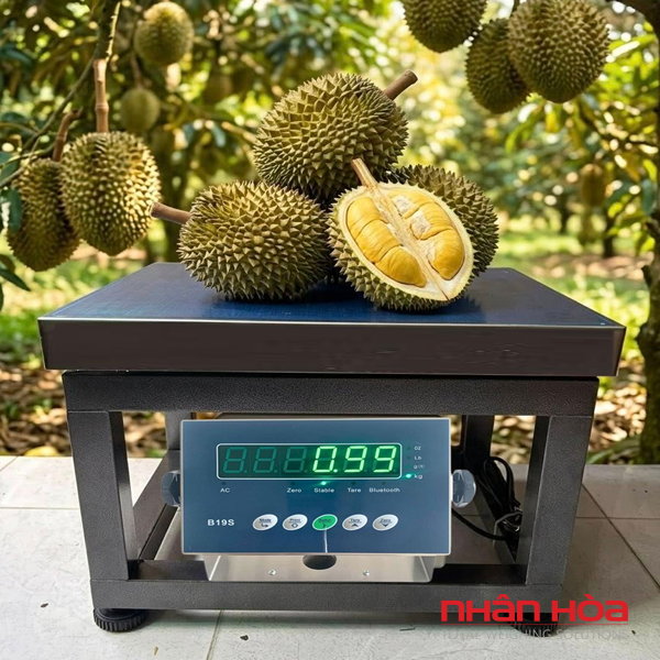 Cân điện tử Thủ Đức