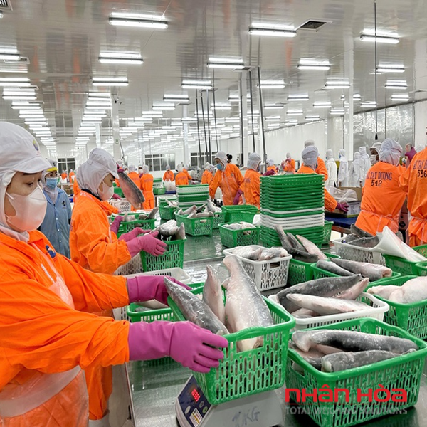 Cân điện tử Vũng Tàu