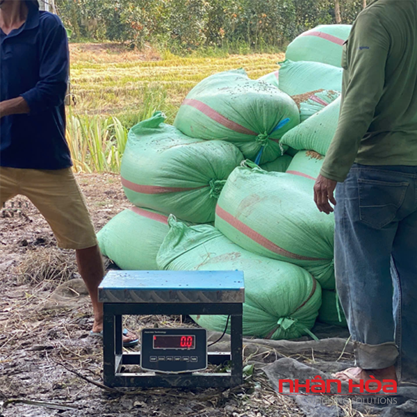 Cho thuê cân điện tử