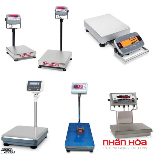 Hiệu chuẩn cân điện tử