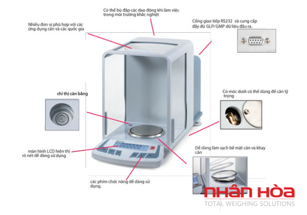 So sánh cân chuẩn nội và chuẩn ngoại