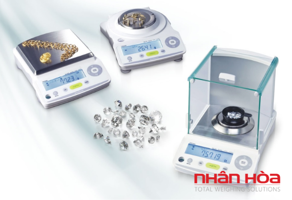 So sánh cân chuẩn nội và chuẩn ngoại