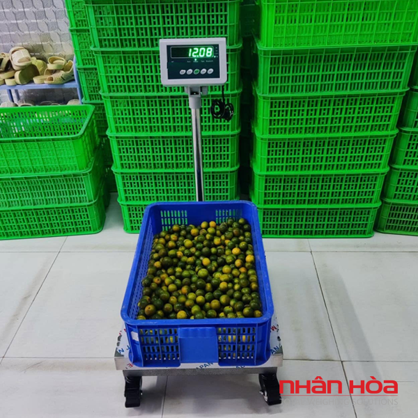 Nên chọn cân sàn điện tử hay cân bàn điện tử