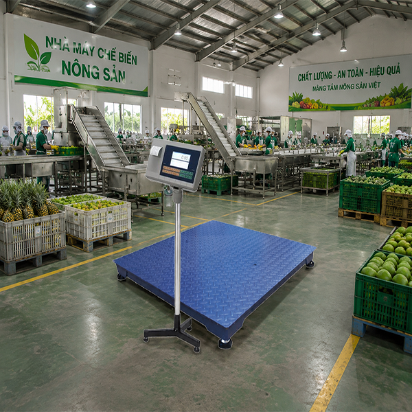 Lợi ích của cân sàn điện tử trong công nghiệp