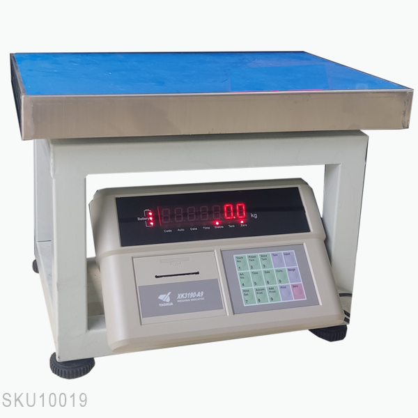 Cân ghế điện tử 500kg dùng để cân hàng hóa gì