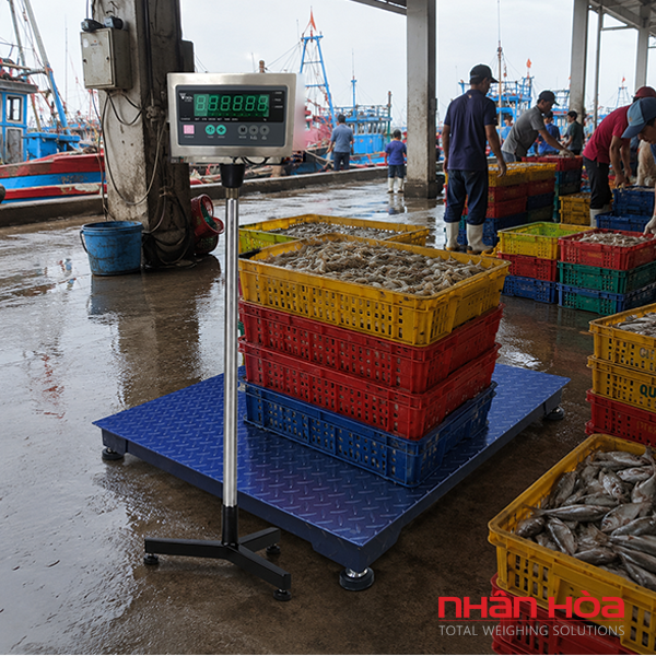Cân sàn điện tử 3 tấn dùng trong ngành nào