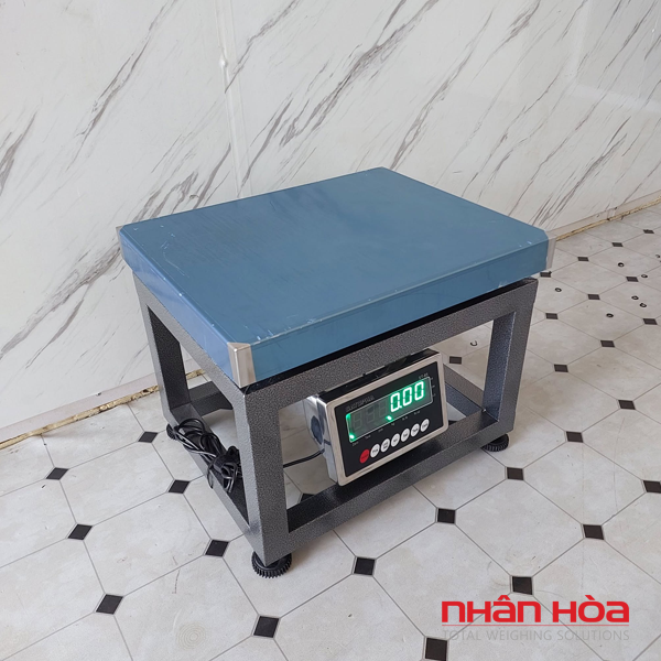 Cân ghế điện tử 500kg dùng để cân hàng hóa gì