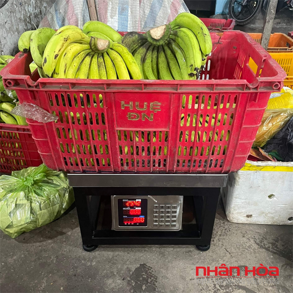 Cấu tạo cân ghế điện tử gồm những bộ phận nào