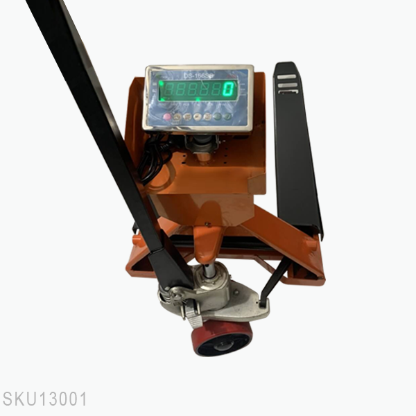 Cân điện tử xe nâng DS166SS