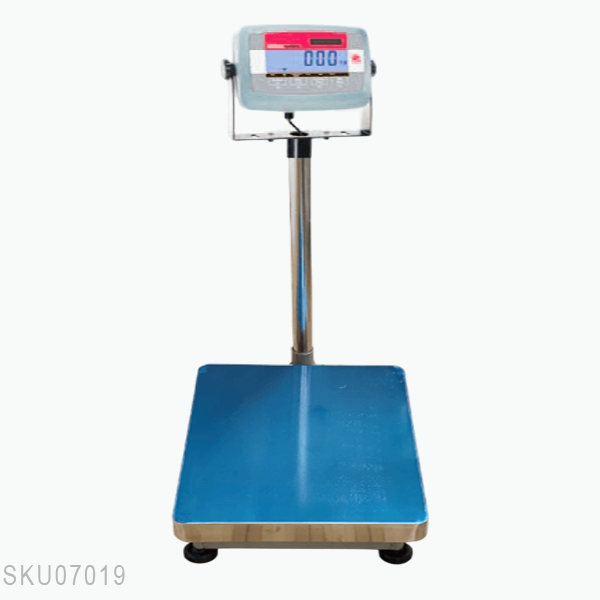 Cân bàn điện tử T31P