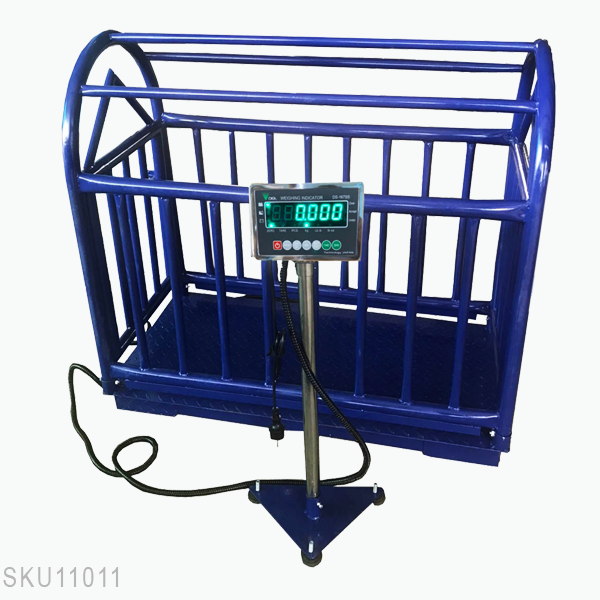 Cân sàn điện tử DS167SS cân heo