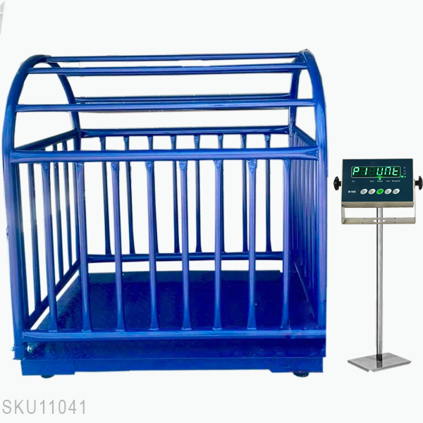 Cân sàn điện tử B19S cân heo