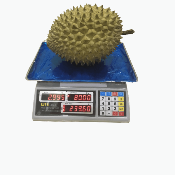 Cân điện tử 12kg
