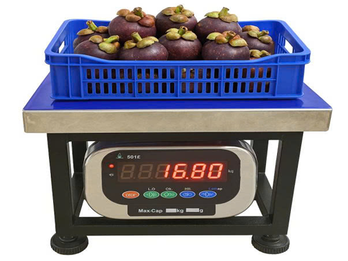 Cân điện tử 180kg