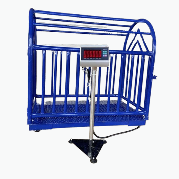 Cân sàn điện tử T7E cân heo