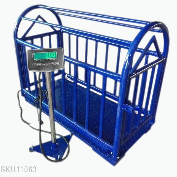 Cân sàn điện tử BDC-8201 cân heo