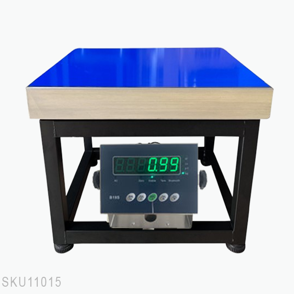 Cân ghế điện tử B19S