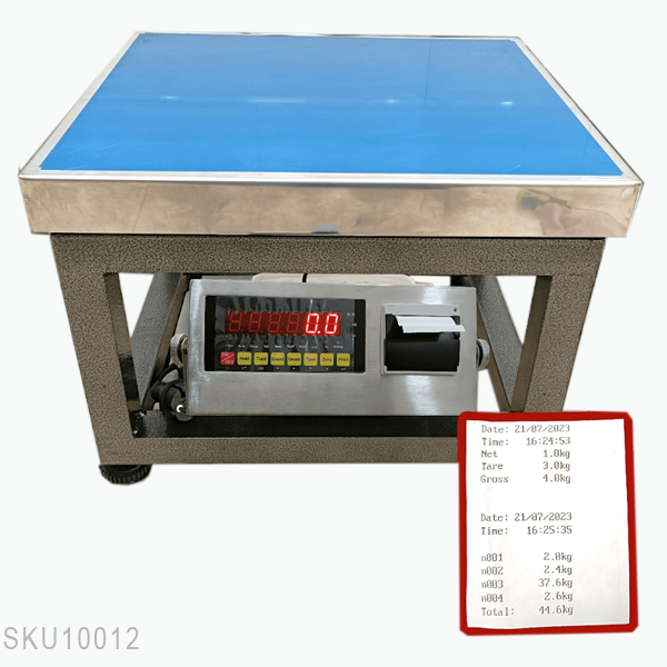 Cân ghế điện tử DS-169 in phiếu