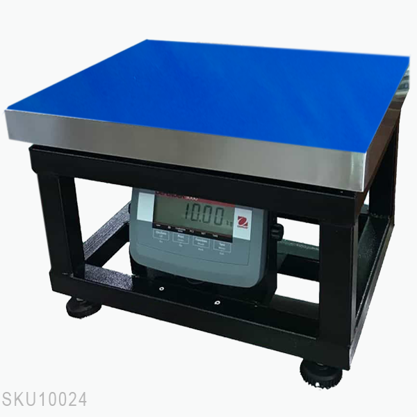 Cân ghế điện tử T31P