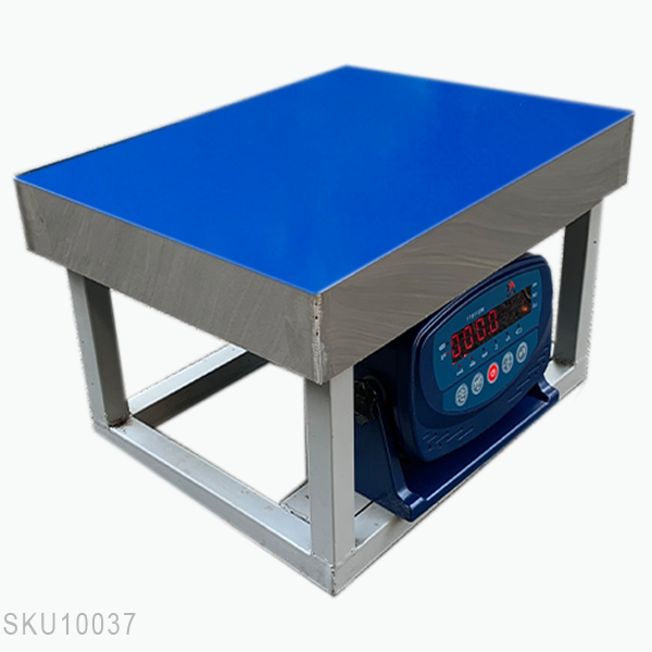 Cân ghế điện tử XK3118T1