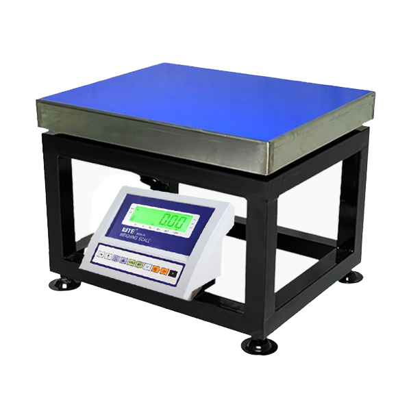 Cân ghế điện tử BSW-N