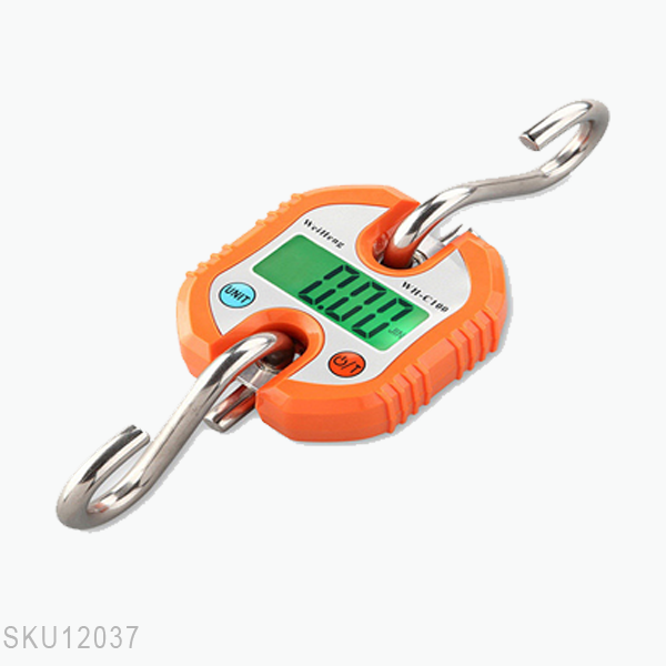 Cân treo điện tử WH-C100 cầm tay