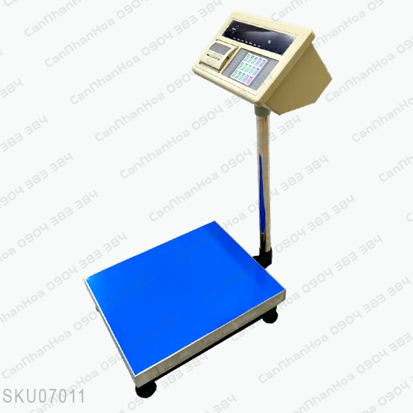 Cân bàn điện tử XK3190-A9P