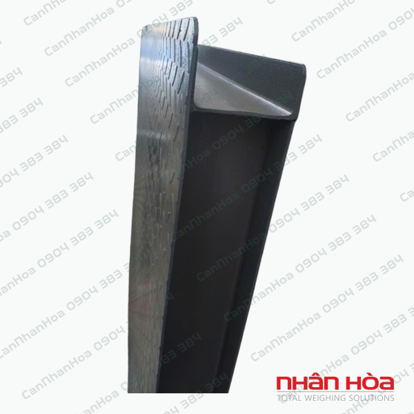 Cân sàn điện tử DS166SS
